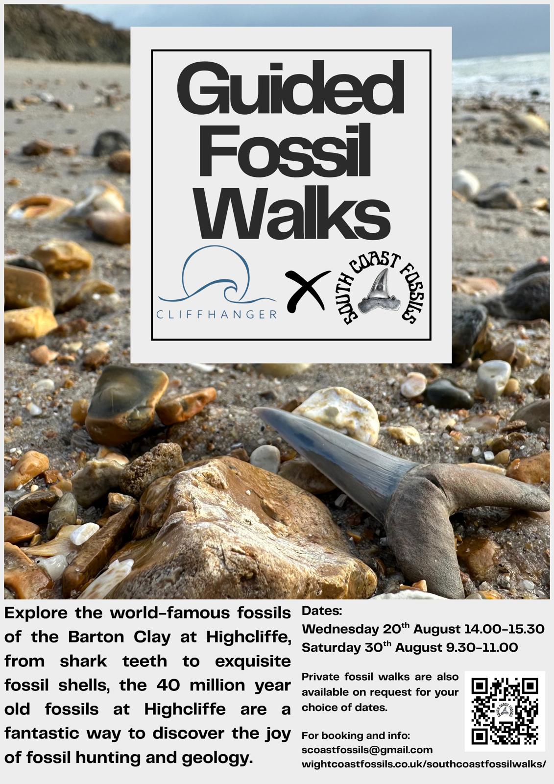 Guided Fossil Walks